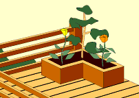 Add planters or other points of interest
